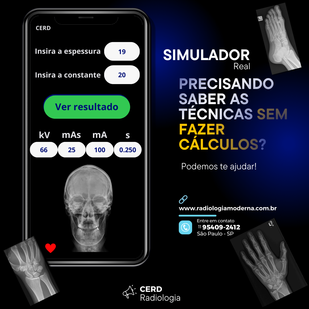Simulador-1